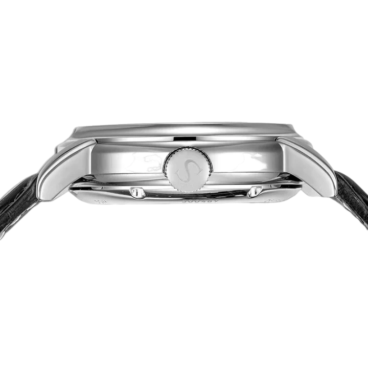 Seagull Watch | Flywheel Retrograde Calendar Power Reserve Watch 42mm - Image 9